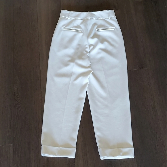 ๐ HOST PICK ๐ Sandra Angelozzi Ankle Pants - Picture 10 of 14